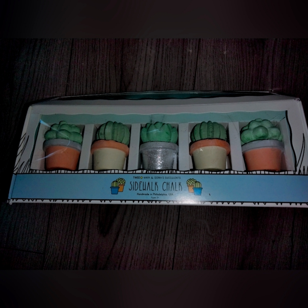Succulent Cactus potted plant sidewalk chalk by Twee handmade chalks New